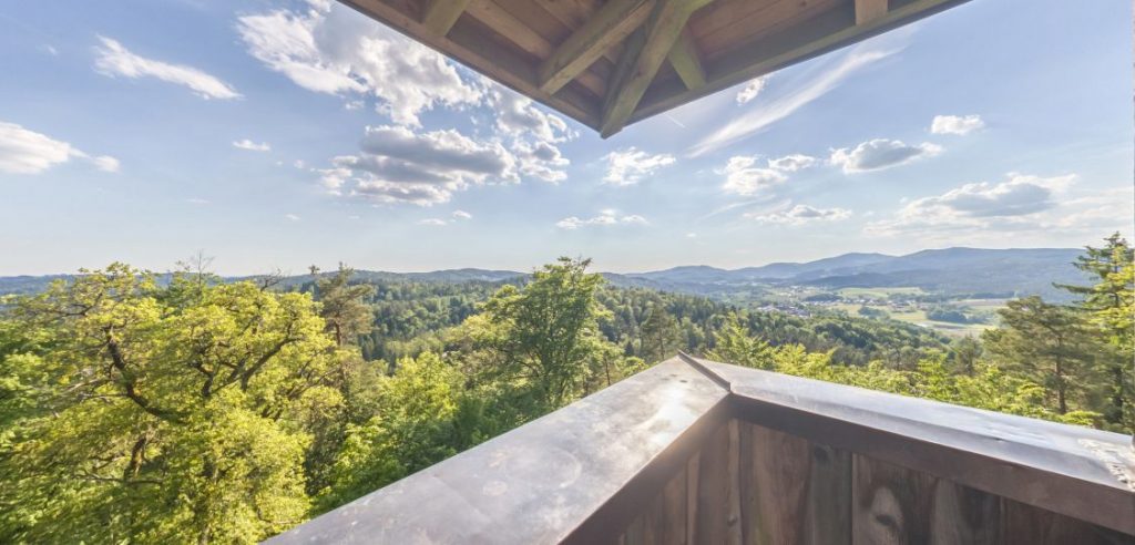 Aussichtsturm an der Saldenburg - VICO.Tours