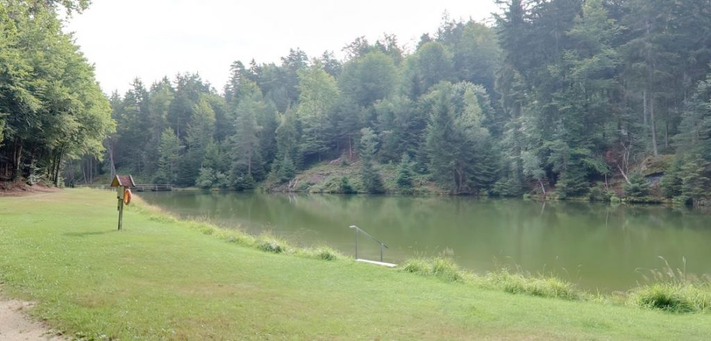 Buchwies Weiher - VICO.Tours