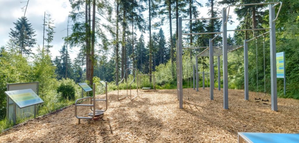 Calisthenics - VICO.Tours