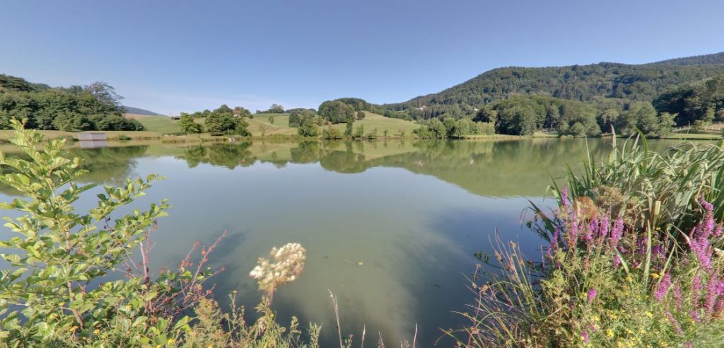 Ebenreuter See - VICO.Tours