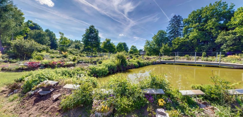 Naturfriedhof - VICO.Tours